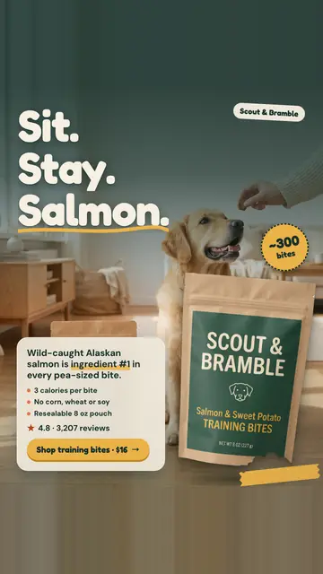 Muted green-gray Scout & Bramble ad: 'Sit. Stay. Salmon.' beside a golden retriever looking up at a hand holding a treat, with a kraft Salmon & Sweet Potato Training Bites pouch, a '~300 bites' badge, 4.8 from 3,207 reviews and a 'Shop training bites · $16' button. The 9:16 version.