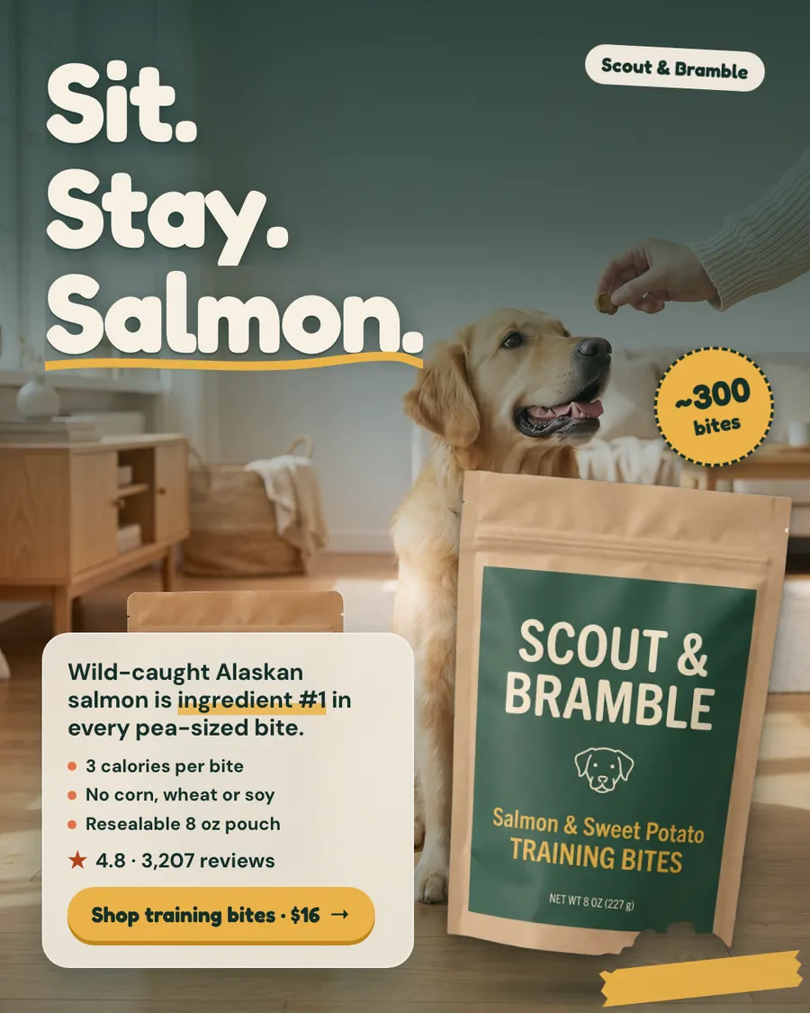 Muted green-gray Scout & Bramble ad: 'Sit. Stay. Salmon.' beside a golden retriever looking up at a hand holding a treat, with a kraft Salmon & Sweet Potato Training Bites pouch, a '~300 bites' badge, 4.8 from 3,207 reviews and a 'Shop training bites · $16' button.