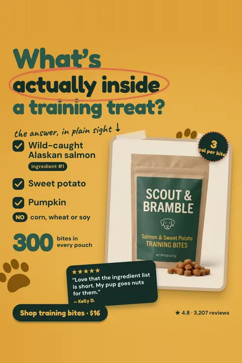 Golden yellow Scout & Bramble ad: 'What's actually inside a training treat?' with a checklist of wild-caught Alaskan salmon (ingredient #1), sweet potato and pumpkin, a pouch photo, '3 cal per bite', 300 bites, a review quote and a 'Shop training bites · $16' button. Shown here in the 2:3 Pinterest size.