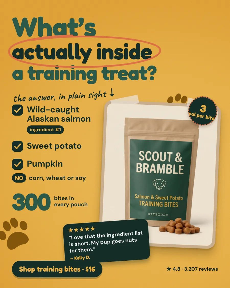Golden yellow Scout & Bramble ad: 'What's actually inside a training treat?' with a checklist of wild-caught Alaskan salmon (ingredient #1), sweet potato and pumpkin, a pouch photo, '3 cal per bite', 300 bites, a review quote and a 'Shop training bites · $16' button.