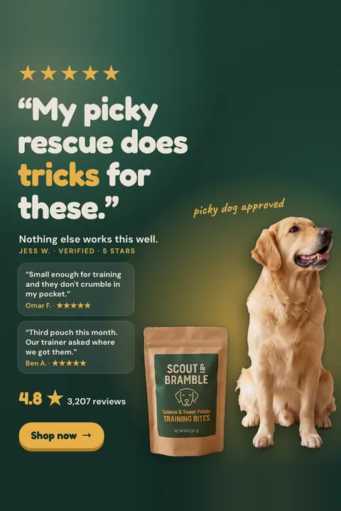 Dark green Scout & Bramble ad: '“My picky rescue does tricks for these.”' with five gold stars, two smaller review cards, 4.8 from 3,207 reviews, a golden retriever sitting beside a kraft pouch of Training Bites, and a 'Shop now' button. Shown here in the 2:3 Pinterest size.
