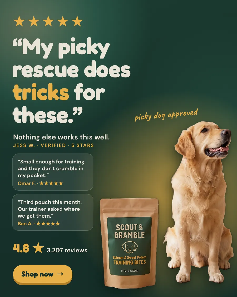 Dark green Scout & Bramble ad: '“My picky rescue does tricks for these.”' with five gold stars, two smaller review cards, 4.8 from 3,207 reviews, a golden retriever sitting beside a kraft pouch of Training Bites, and a 'Shop now' button.