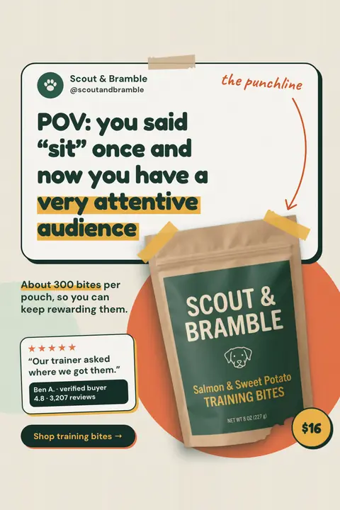 Cream Scout & Bramble ad: 'POV: you said “sit” once and now you have a very attentive audience' in a social post card, with a green kraft pouch of Salmon & Sweet Potato Training Bites, a $16 badge, a 5-star quote and a 'Shop training bites' button. Shown here in the 2:3 Pinterest size.
