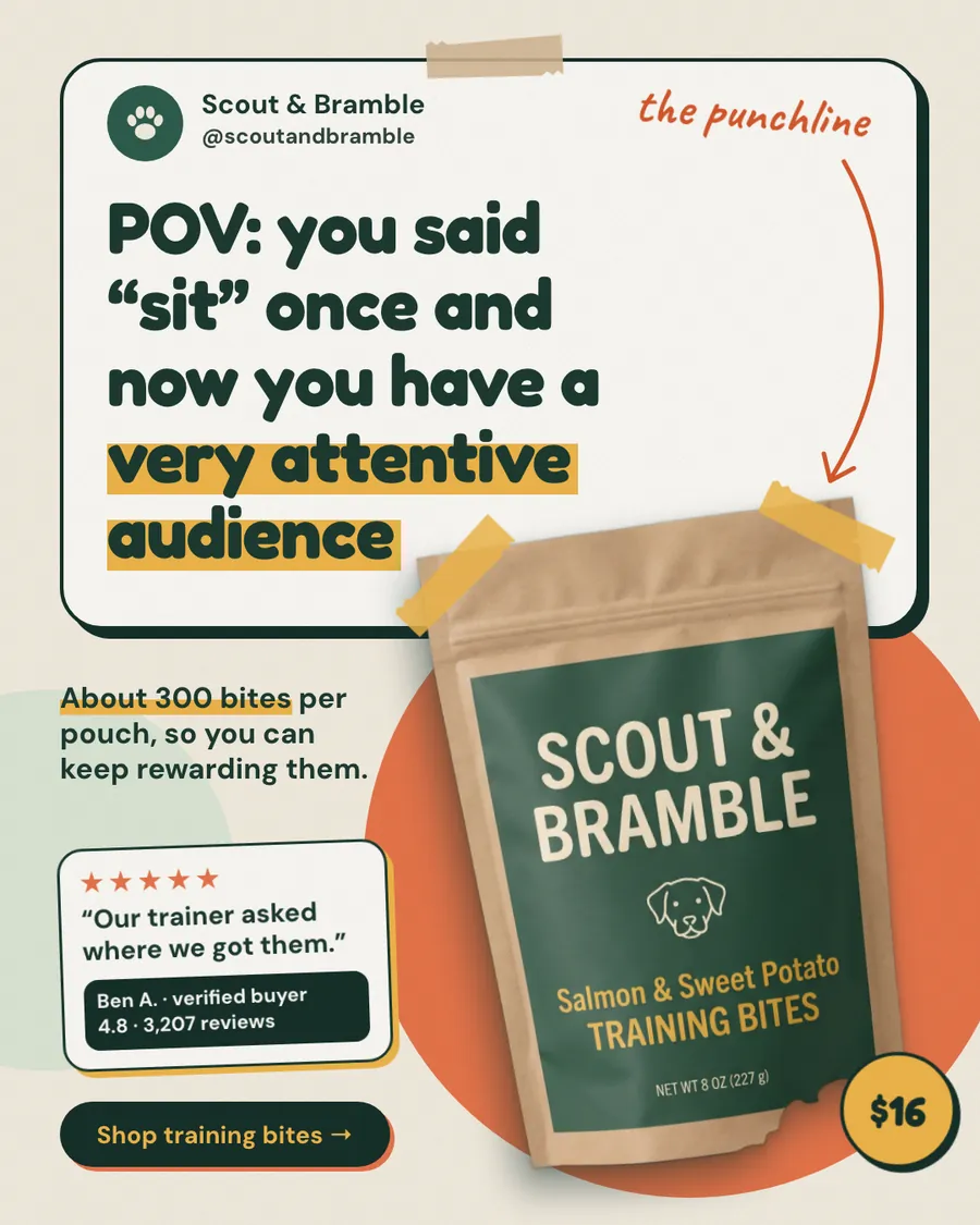 Cream Scout & Bramble ad: 'POV: you said “sit” once and now you have a very attentive audience' in a social post card, with a green kraft pouch of Salmon & Sweet Potato Training Bites, a $16 badge, a 5-star quote and a 'Shop training bites' button.