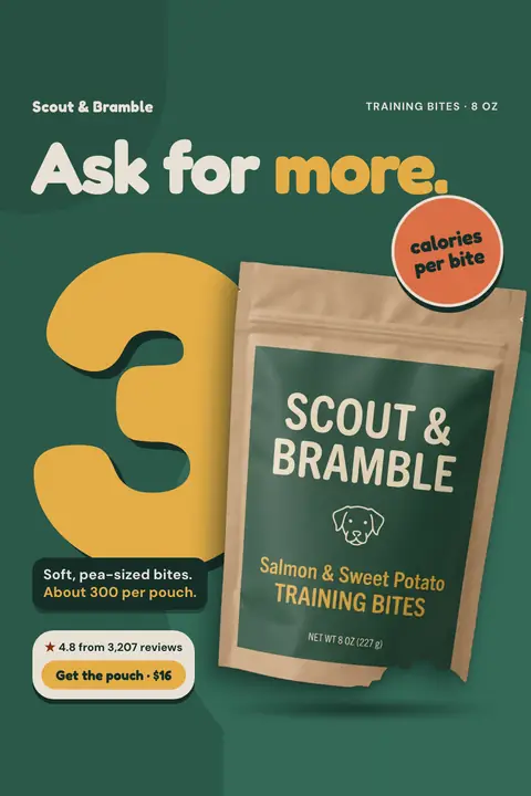 Dark green Scout & Bramble ad: 'Ask for more.' with a huge yellow 3 and an orange 'calories per bite' sticker beside a kraft pouch of Salmon & Sweet Potato Training Bites. Also 'About 300 per pouch', 4.8 from 3,207 reviews and a 'Get the pouch · $16' button. Shown here in the 2:3 Pinterest size.