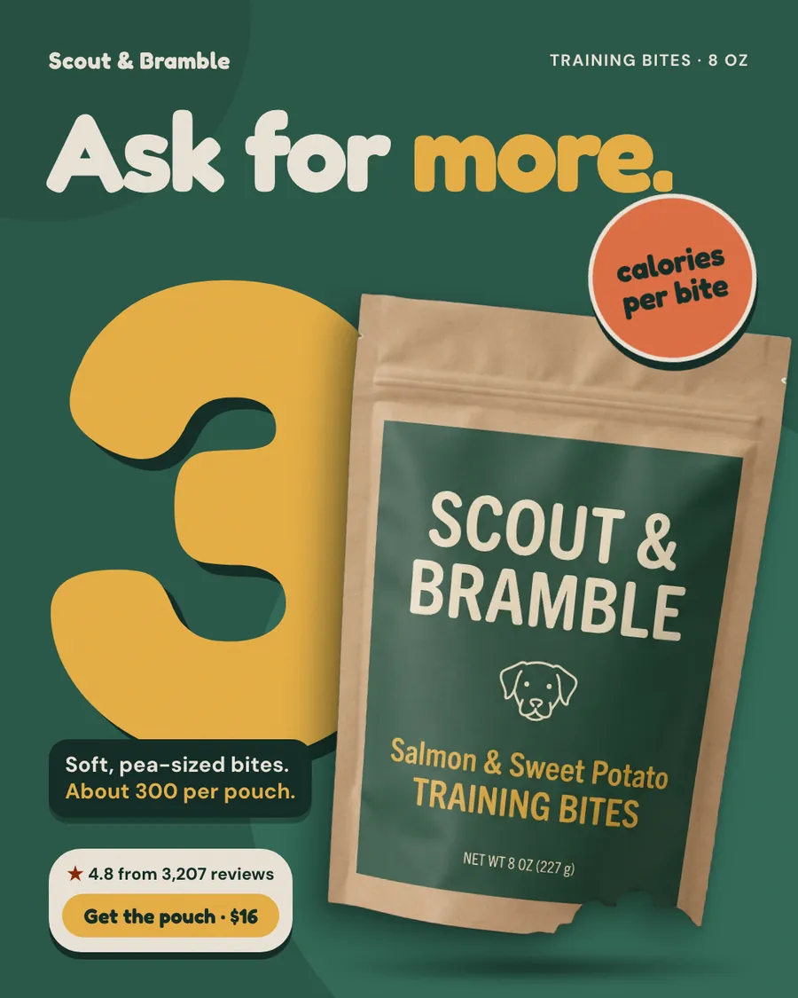 Dark green Scout & Bramble ad: 'Ask for more.' with a huge yellow 3 and an orange 'calories per bite' sticker beside a kraft pouch of Salmon & Sweet Potato Training Bites. Also 'About 300 per pouch', 4.8 from 3,207 reviews and a 'Get the pouch · $16' button.