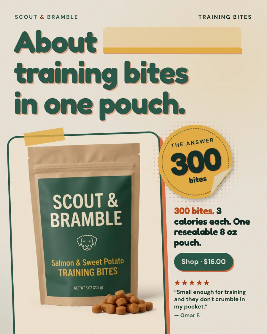 Cream Scout & Bramble ad: 'About ______ training bites in one pouch.' with a blank in the headline, answered by a yellow sticker reading The answer 300 bites. Kraft pouch photo, 3 calories each, 8 oz, a 'Shop · $16.00' button and a five-star quote from Omar F.